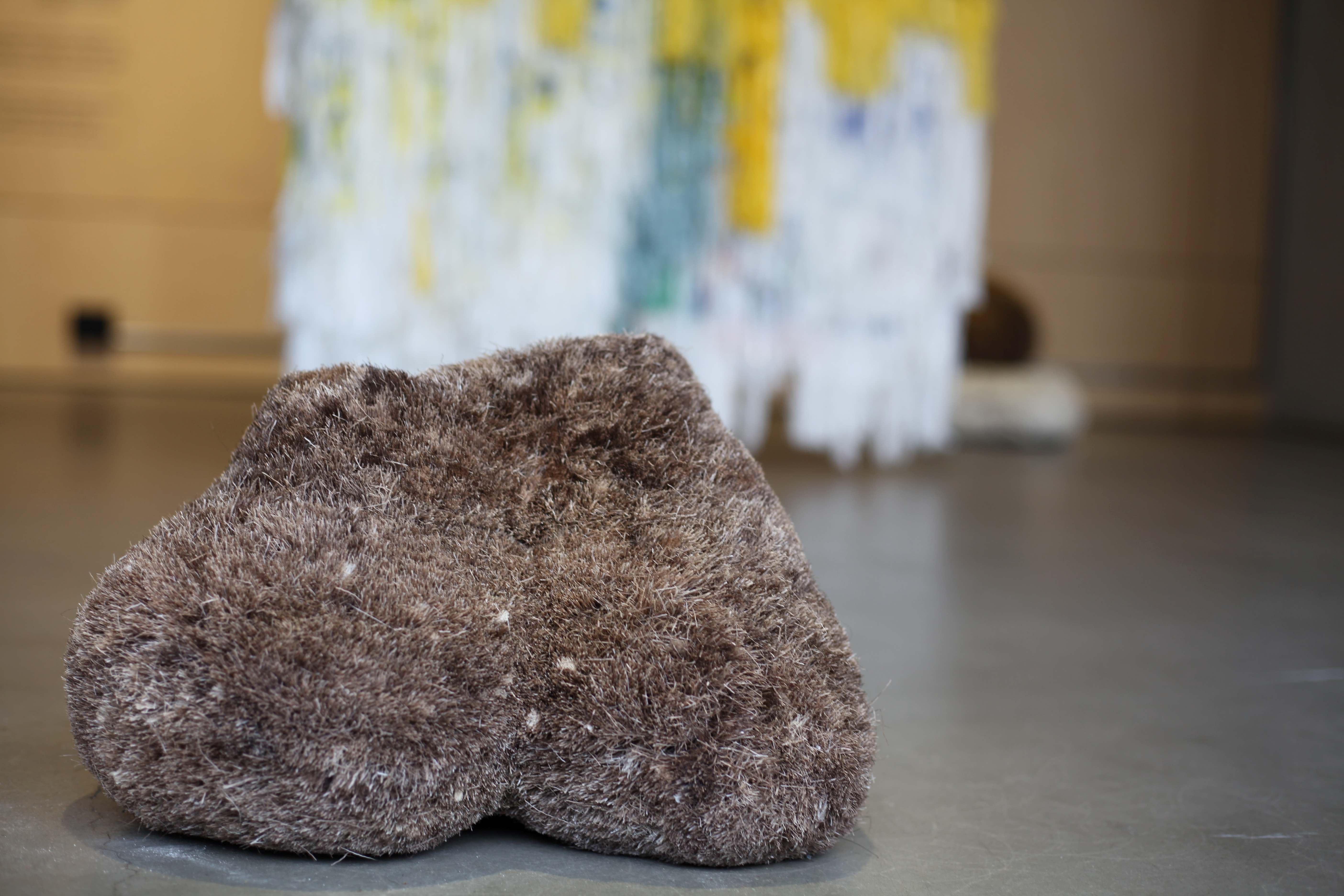 Pesäpako kult metsa