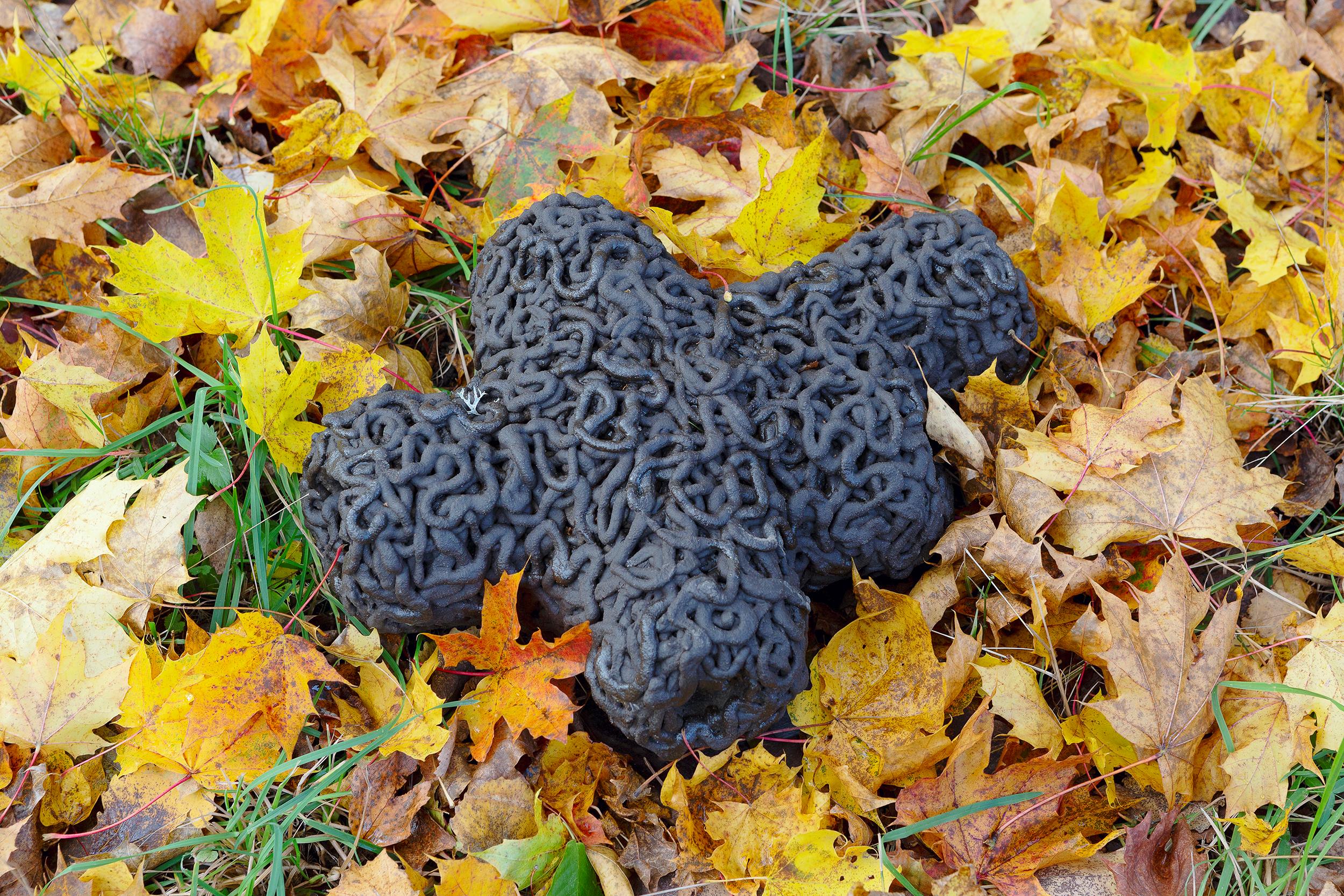 syöjiä jaLuojia netti1